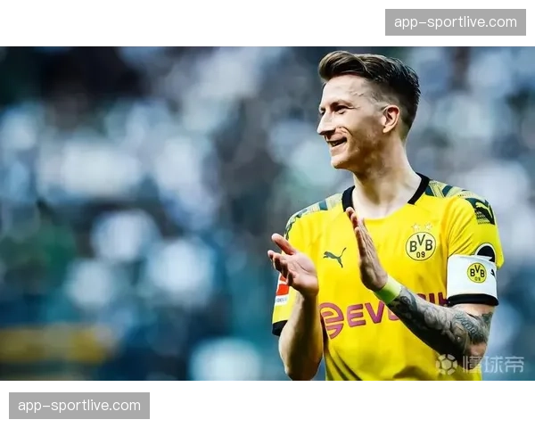 蒙彼利埃老将萨瓦尼耶：谈论在单一俱乐部效力长达12年的感受